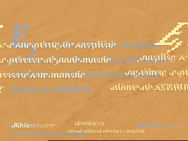 E, se a sua oferta for sacrifício pacífico, se a oferecer de gado macho ou fêmea, a oferecerá sem mancha diante do SENHOR.