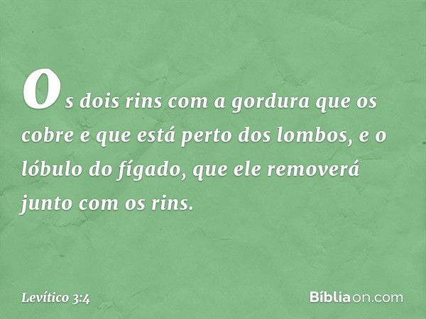 os dois rins com a gordura que os cobre e que está perto dos lom­bos, e o lóbulo do fígado, que ele removerá junto com os rins. -- Levítico 3:4