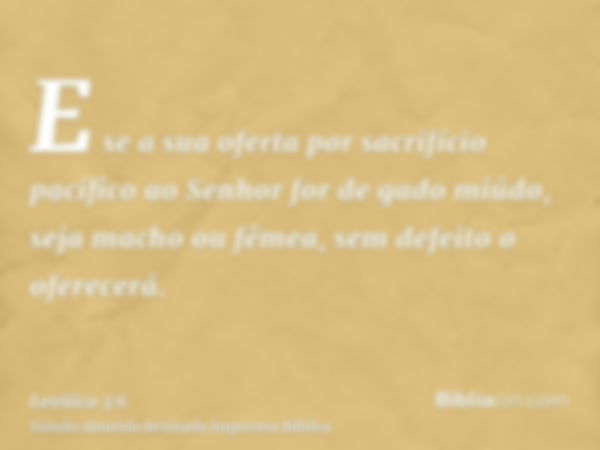 E se a sua oferta por sacrifício pacífico ao Senhor for de gado miúdo, seja macho ou fêmea, sem defeito o oferecerá.