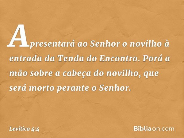 Apresentará ao Senhor o novilho à entrada da Tenda do Encontro. Porá a mão sobre a cabeça do novilho, que será morto perante o Senhor. -- Levítico 4:4