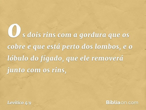 os dois rins com a gordura que os cobre e que está perto dos lom­bos, e o lóbulo do fígado, que ele removerá junto com os rins, -- Levítico 4:9