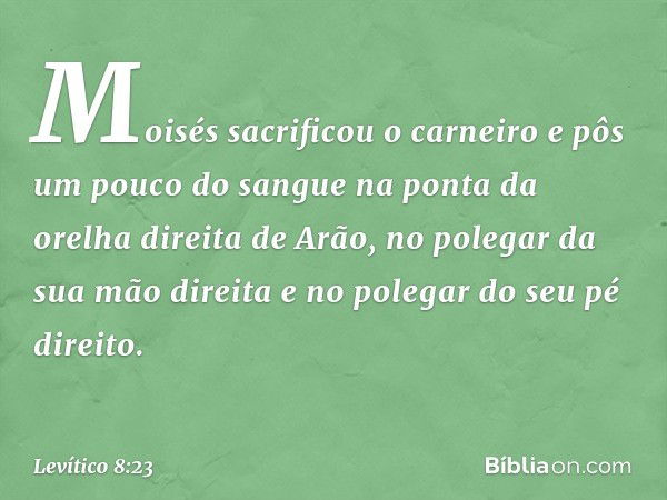 Moisés sacrificou o carneiro e pôs um pouco do sangue na ponta da orelha direita de Arão, no polegar da sua mão direita e no polegar do seu pé direito. -- Levít