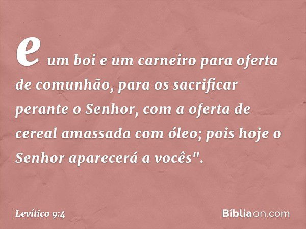 e um boi e um carneiro para oferta de comunhão, para os sacrificar perante o Senhor, com a oferta de cereal amassada com óleo; pois hoje o Senhor apare­cerá a v