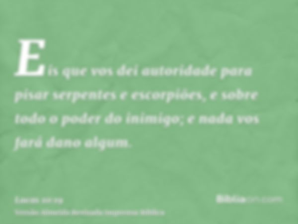 Eis que vos dei autoridade para pisar serpentes e escorpiões, e sobre todo o poder do inimigo; e nada vos fará dano algum.