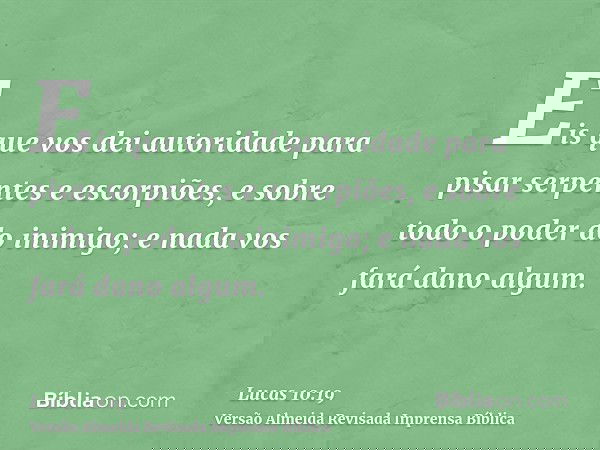 Eis que vos dei autoridade para pisar serpentes e escorpiões, e sobre todo o poder do inimigo; e nada vos fará dano algum.