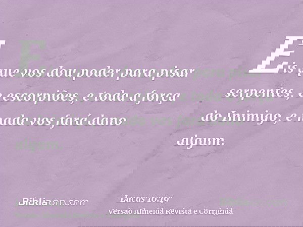 Eis que vos dou poder para pisar serpentes, e escorpiões, e toda a força do Inimigo, e nada vos fará dano algum.