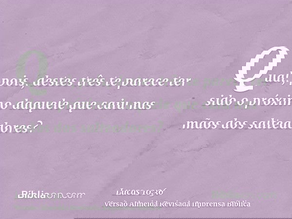 Qual, pois, destes três te parece ter sido o próximo daquele que caiu nas mãos dos salteadores?