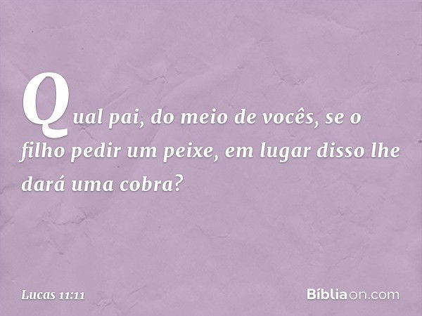 "Qual pai, do meio de vocês, se o filho pedir um peixe, em lugar disso lhe dará uma cobra? -- Lucas 11:11