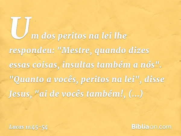 Um dos peritos na lei lhe respondeu: "Mestre, quando dizes essas coisas, insultas também a nós". "Quanto a vocês, peritos na lei", disse Jesus, "ai de vocês tam