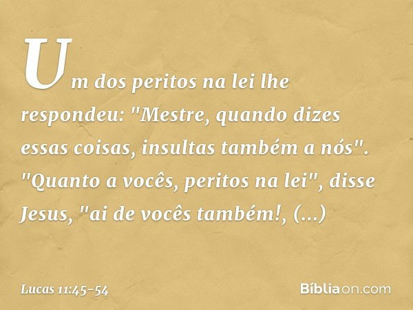 Um dos peritos na lei lhe respondeu: "Mestre, quando dizes essas coisas, insultas também a nós". "Quanto a vocês, peritos na lei", disse Jesus, "ai de vocês tam