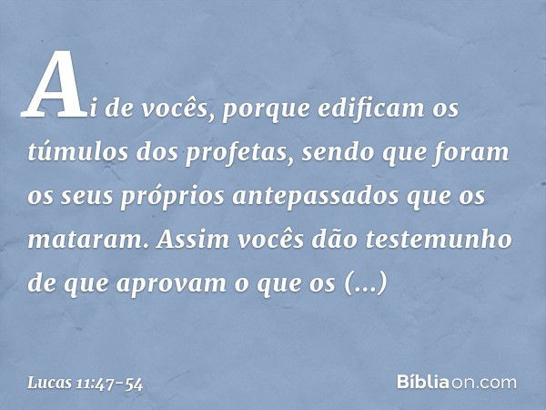 "Ai de vocês, porque edificam os túmulos dos profetas, sendo que foram os seus próprios antepassados que os mataram. Assim vocês dão testemunho de que aprovam o