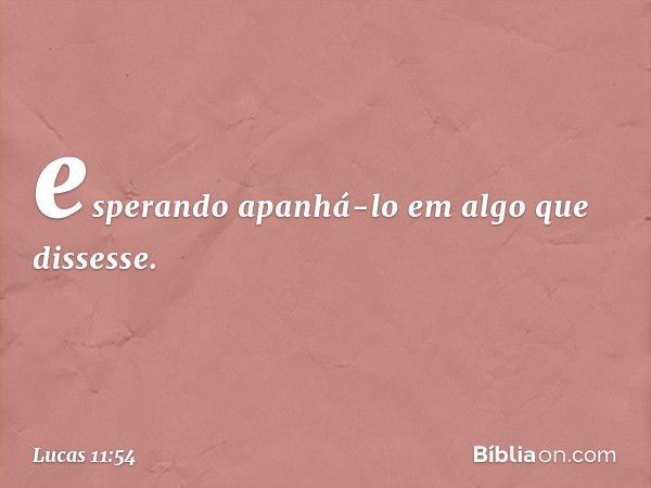 esperando apanhá-lo em algo que dissesse. -- Lucas 11:54