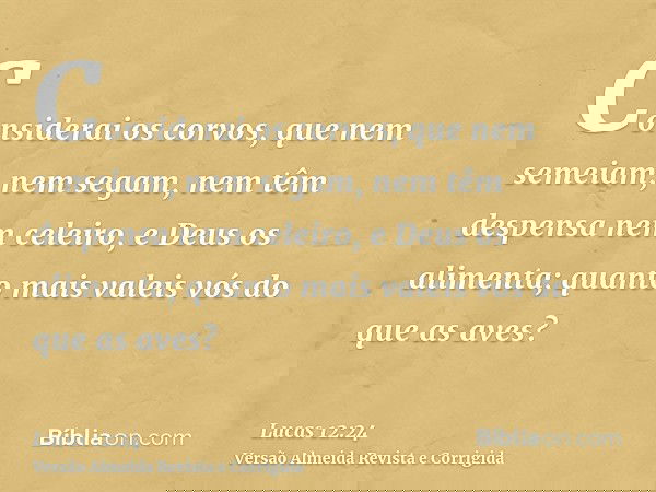 Considerai os corvos, que nem semeiam, nem segam, nem têm despensa nem celeiro, e Deus os alimenta; quanto mais valeis vós do que as aves?
