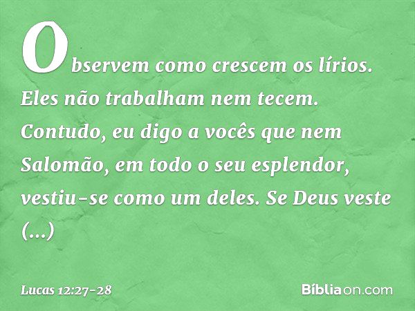 "Observem como crescem os lírios. Eles não trabalham nem tecem. Contudo, eu digo a vocês que nem Salomão, em todo o seu esplendor, vestiu-se como um deles. Se D