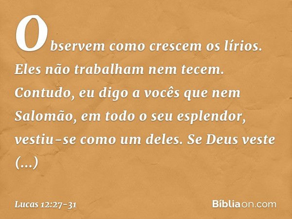 "Observem como crescem os lírios. Eles não trabalham nem tecem. Contudo, eu digo a vocês que nem Salomão, em todo o seu esplendor, vestiu-se como um deles. Se D