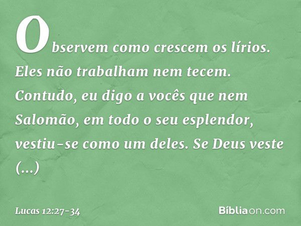 "Observem como crescem os lírios. Eles não trabalham nem tecem. Contudo, eu digo a vocês que nem Salomão, em todo o seu esplendor, vestiu-se como um deles. Se D