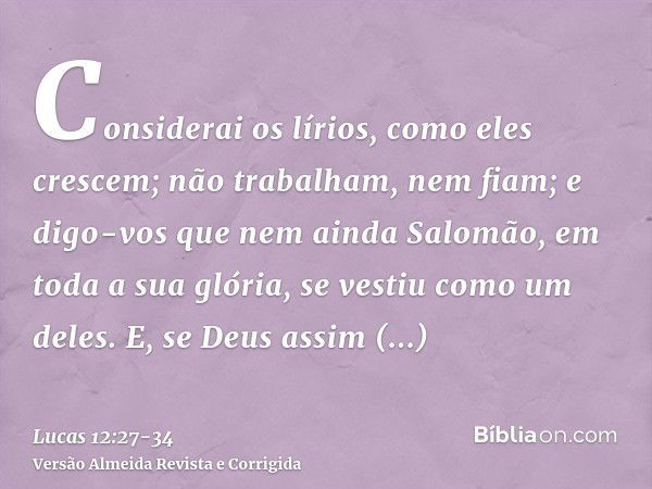 Considerai os lírios, como eles crescem; não trabalham, nem fiam; e digo-vos que nem ainda Salomão, em toda a sua glória, se vestiu como um deles.E, se Deus ass