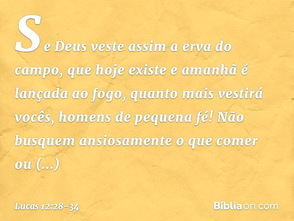 Se Deus veste assim a erva do campo, que hoje existe e amanhã é lançada ao fogo, quanto mais vestirá vocês, homens de pequena fé! Não busquem ansiosamente o que