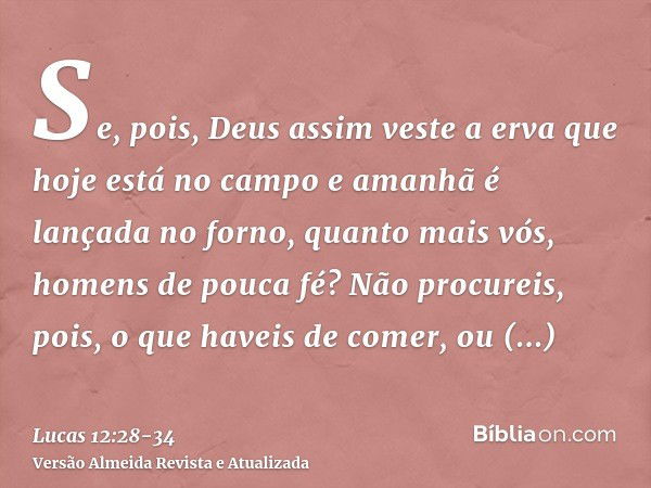 Se, pois, Deus assim veste a erva que hoje está no campo e amanhã é lançada no forno, quanto mais vós, homens de pouca fé?Não procureis, pois, o que haveis de c