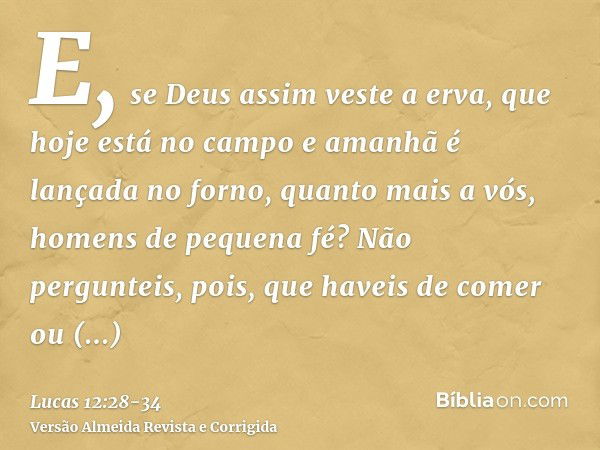 E, se Deus assim veste a erva, que hoje está no campo e amanhã é lançada no forno, quanto mais a vós, homens de pequena fé?Não pergunteis, pois, que haveis de c