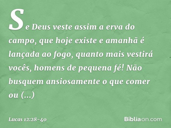 Se Deus veste assim a erva do campo, que hoje existe e amanhã é lançada ao fogo, quanto mais vestirá vocês, homens de pequena fé! Não busquem ansiosamente o que