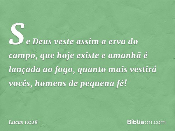 Se Deus veste assim a erva do campo, que hoje existe e amanhã é lançada ao fogo, quanto mais vestirá vocês, homens de pequena fé! -- Lucas 12:28