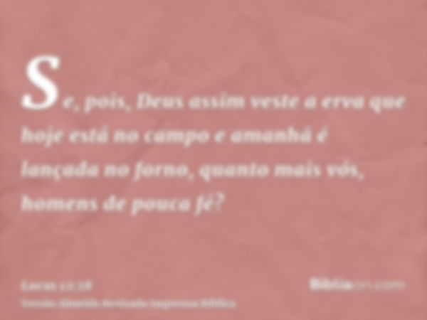 Se, pois, Deus assim veste a erva que hoje está no campo e amanhã é lançada no forno, quanto mais vós, homens de pouca fé?