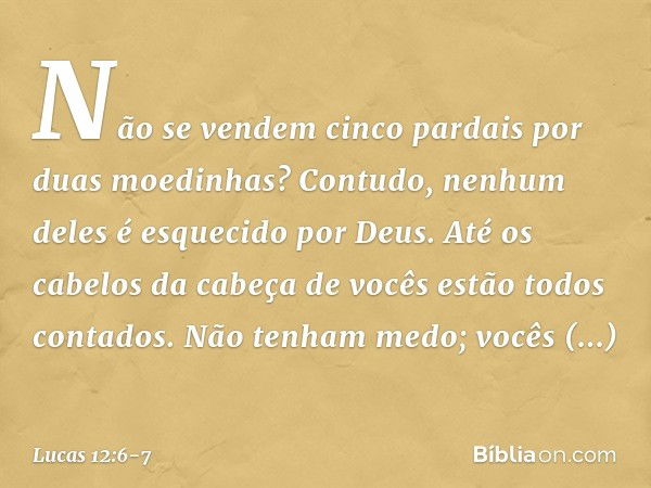 Não se vendem cinco pardais por duas moedinhas? Contudo, nenhum deles é esquecido por Deus. Até os cabelos da cabeça de vocês estão todos contados. Não tenham m