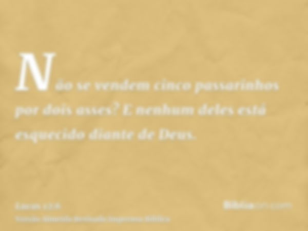 Não se vendem cinco passarinhos por dois asses? E nenhum deles está esquecido diante de Deus.