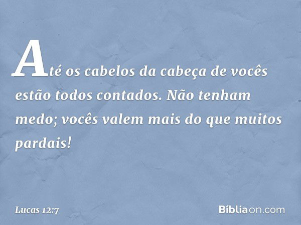 Até os cabelos da cabeça de vocês estão todos contados. Não tenham medo; vocês valem mais do que muitos pardais! -- Lucas 12:7