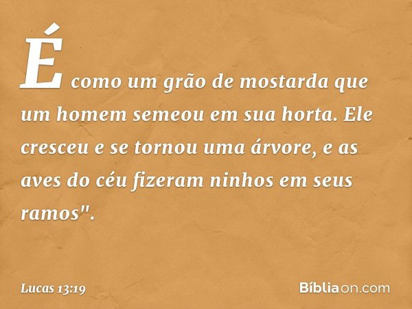 É como um grão de mostarda que um homem semeou em sua horta. Ele cresceu e se tornou uma árvore, e as aves do céu fizeram ninhos em seus ramos". -- Lucas 13:19