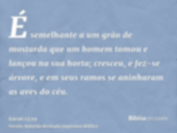 É semelhante a um grão de mostarda que um homem tomou e lançou na sua horta; cresceu, e fez-se árvore, e em seus ramos se aninharam as aves do céu.