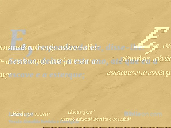 E, respondendo ele, disse-lhe: Senhor, deixa-a este ano, até que eu a escave e a esterque;
