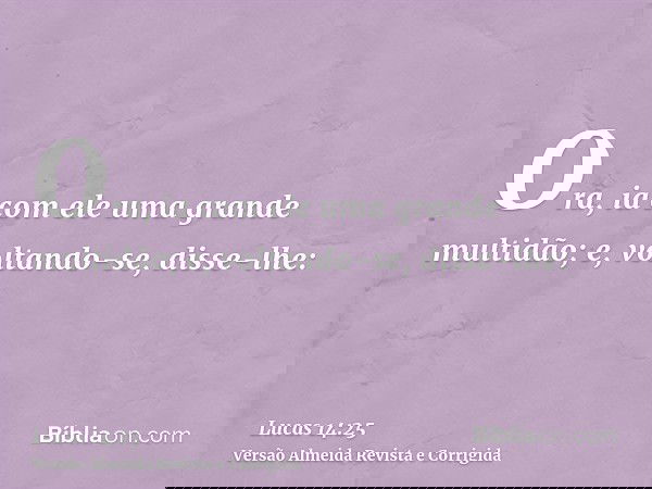 Ora, ia com ele uma grande multidão; e, voltando-se, disse-lhe: