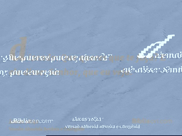 dizendo: Que queres que te faça? E ele disse: Senhor, que eu veja.