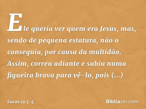 Ele queria ver quem era Jesus, mas, sendo de pequena estatura, não o conseguia, por causa da multidão. Assim, correu adiante e subiu numa figueira brava para vê