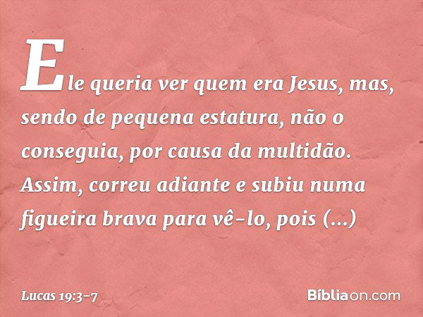 Ele queria ver quem era Jesus, mas, sendo de pequena estatura, não o conseguia, por causa da multidão. Assim, correu adiante e subiu numa figueira brava para vê