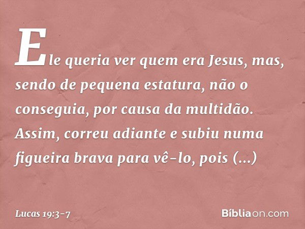 Ele queria ver quem era Jesus, mas, sendo de pequena estatura, não o conseguia, por causa da multidão. Assim, correu adiante e subiu numa figueira brava para vê