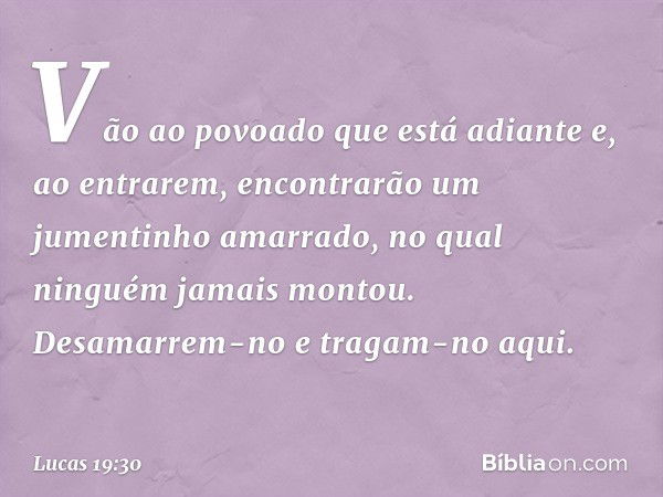 "Vão ao povoado que está adiante e, ao entrarem, encontrarão um jumentinho amarrado, no qual ninguém jamais montou. Desamarrem-no e tragam-no aqui. -- Lucas 19: