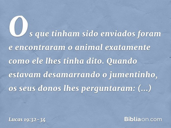 Os que tinham sido enviados foram e encontraram o animal exatamente como ele lhes tinha dito. Quando estavam desamarrando o jumentinho, os seus donos lhes pergu