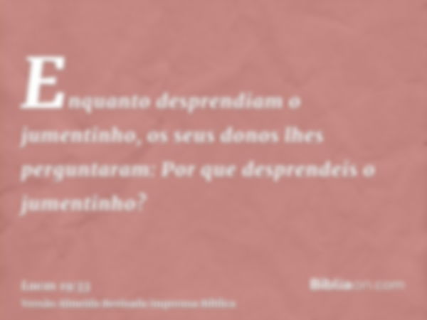 Enquanto desprendiam o jumentinho, os seus donos lhes perguntaram: Por que desprendeis o jumentinho?