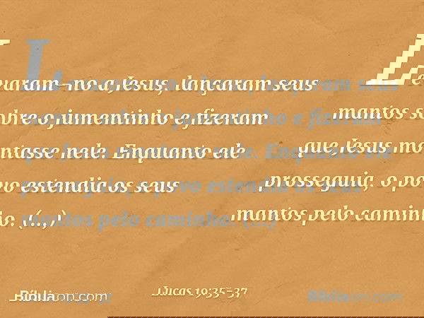 Levaram-no a Jesus, lançaram seus mantos sobre o jumentinho e fizeram que Jesus montasse nele. Enquanto ele prosseguia, o povo estendia os seus mantos pelo cami