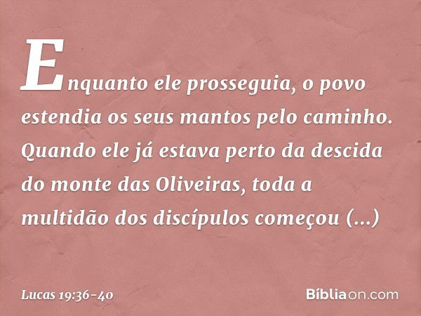 Enquanto ele prosseguia, o povo estendia os seus mantos pelo caminho. Quando ele já estava perto da descida do monte das Oliveiras, toda a multidão dos discípul