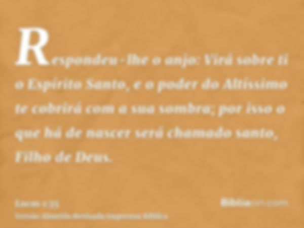 Respondeu-lhe o anjo: Virá sobre ti o Espírito Santo, e o poder do Altíssimo te cobrirá com a sua sombra; por isso o que há de nascer será chamado santo, Filho 