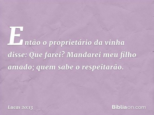 "Então o proprietário da vinha disse: 'Que farei? Mandarei meu filho amado; quem sabe o respeitarão'. -- Lucas 20:13