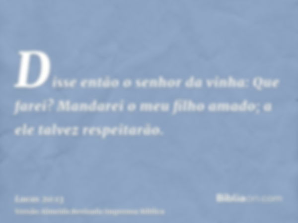 Disse então o senhor da vinha: Que farei? Mandarei o meu filho amado; a ele talvez respeitarão.