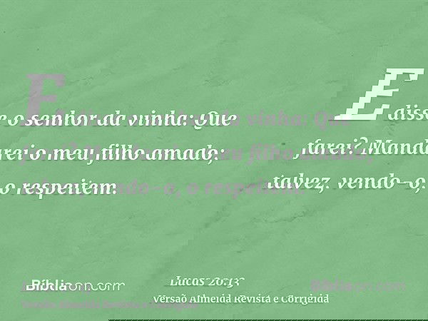 E disse o senhor da vinha: Que farei? Mandarei o meu filho amado; talvez, vendo-o, o respeitem.