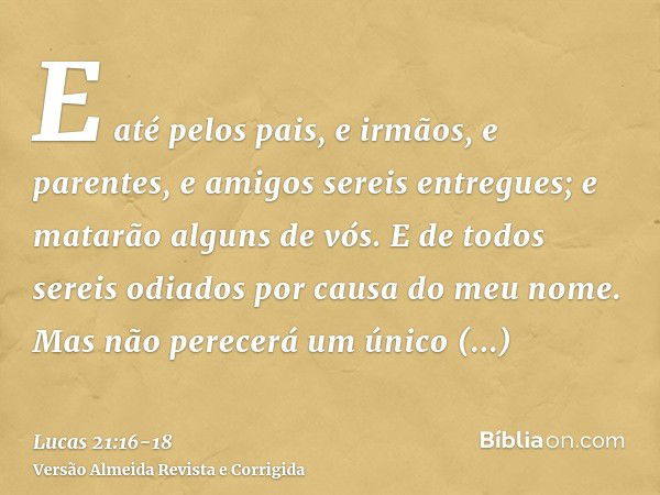 E até pelos pais, e irmãos, e parentes, e amigos sereis entregues; e matarão alguns de vós.E de todos sereis odiados por causa do meu nome.Mas não perecerá um ú