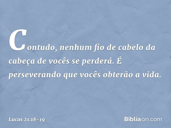 Contudo, nenhum fio de cabelo da cabeça de vocês se perderá. É perseverando que vocês obterão a vida. -- Lucas 21:18-19