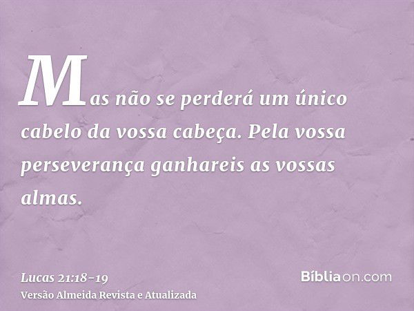 Mas não se perderá um único cabelo da vossa cabeça.Pela vossa perseverança ganhareis as vossas almas.